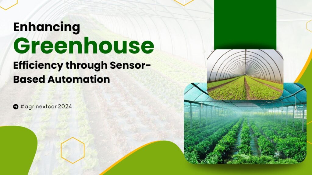 Enhancing Greenhouse Efficiency through Sensor-Based Automation
